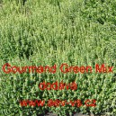 Bazalka pravá vonná Gourmand Green Mix
