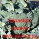 Brokolice Sebastian