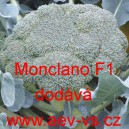 Brokolice hybridní Monclano F1