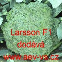 Brokolice hybridní Larsson F1