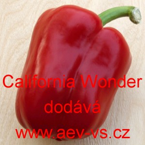 Paprika roční zeleninová California Wonder