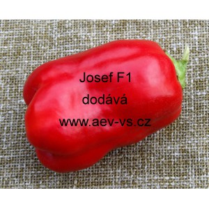 Paprika roční zeleninová hybridní Josef F1