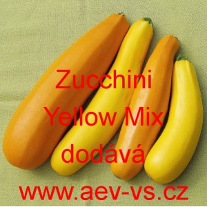 Tykev obecná cuketa Zucchini Yellow Mix